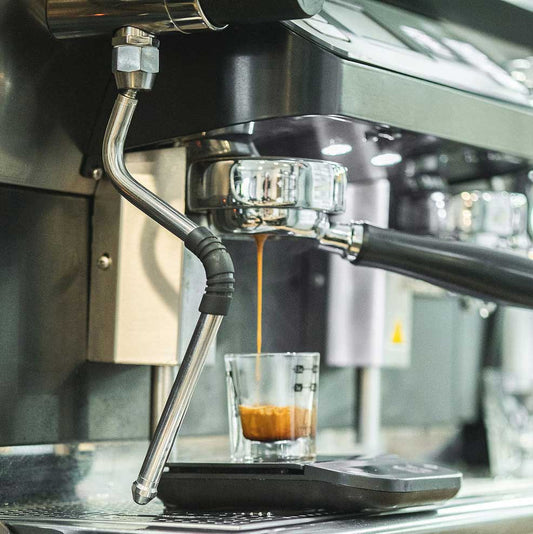 Barista Basics Espresso Shot Glass - 2oz - WARES - Specialty Coffee, Teas, and Syrups, Air - Roasted in Rockwall, Texas by Legendary Aviation Coffee Company