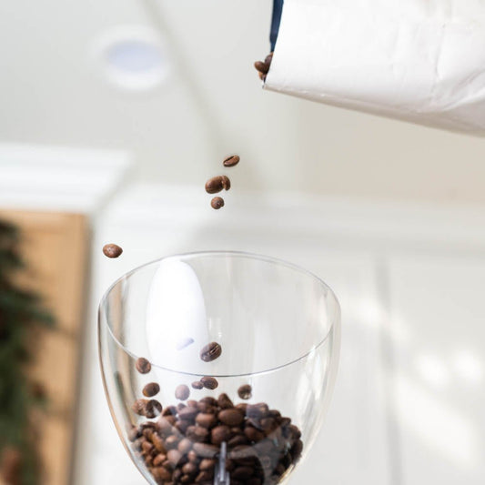 Ascaso i - mini Flat Burr Home Coffee Grinder, 54MM - White - EQUIPMENT - Specialty Coffee, Teas, and Syrups, Air - Roasted in Rockwall, Texas by Legendary Aviation Coffee Company