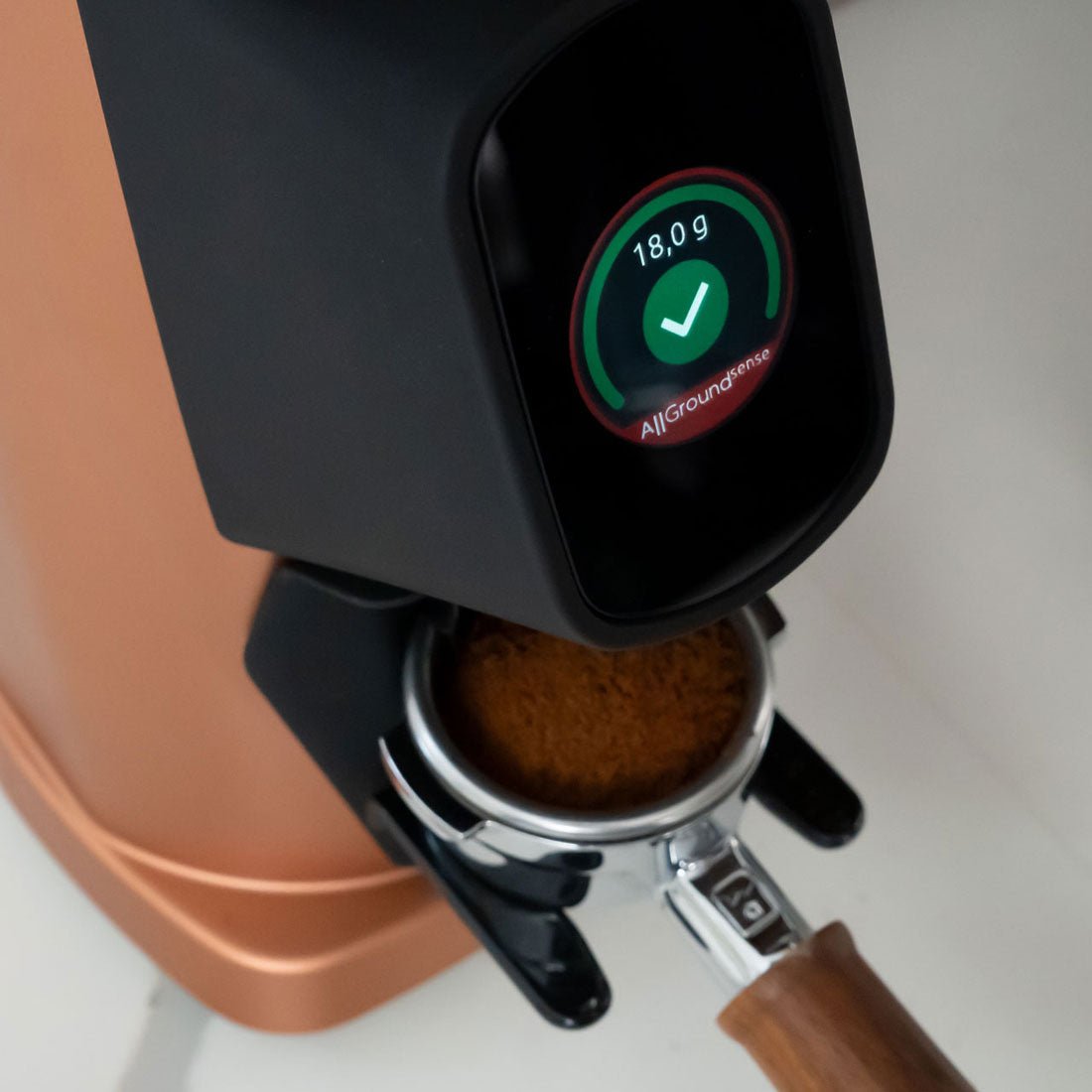 AllGround Sense All Purpose Home Coffee Grinder - Bright Silver - EQUIPMENT - Specialty Coffee, Teas, and Syrups, Air - Roasted in Rockwall, Texas by Legendary Aviation Coffee Company
