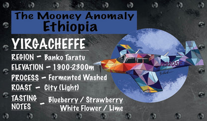 Legendary Aviation Specialty Coffee, Mooney Anomaly, Ethiopia Front, Rockwall Coffee, Local, Texas