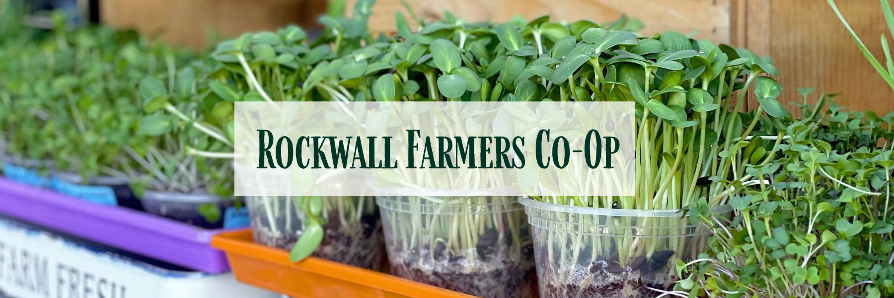 Rockwall Co-op