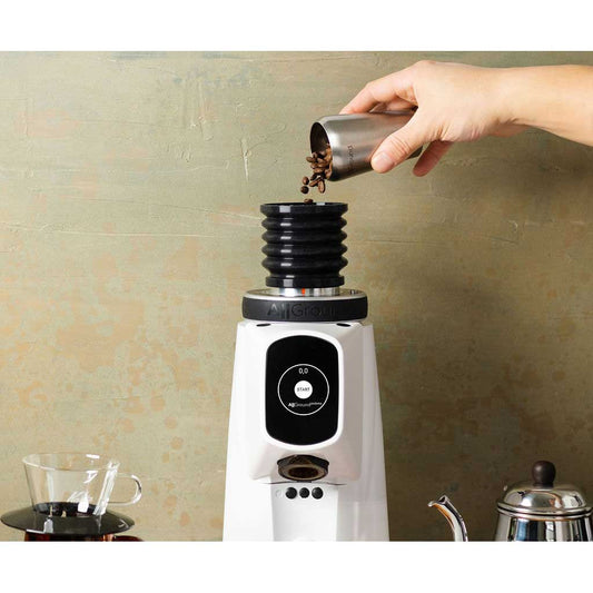 AllGround ProBrew Filter Coffee Grinder - White